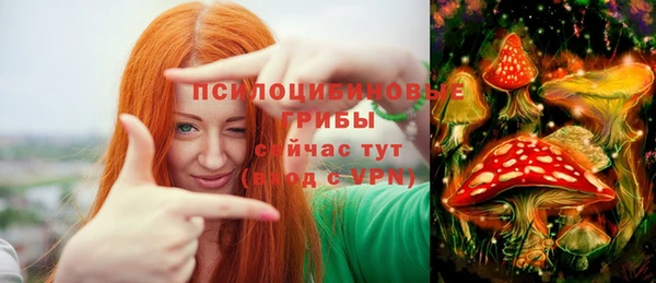 круглые Магас