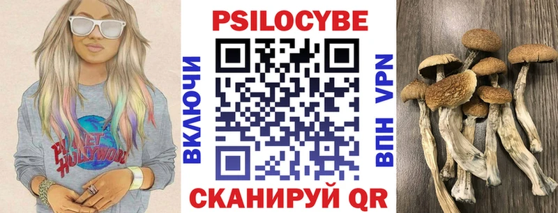 Псилоцибиновые грибы GOLDEN TEACHER  Купить закладки  Арзамас 