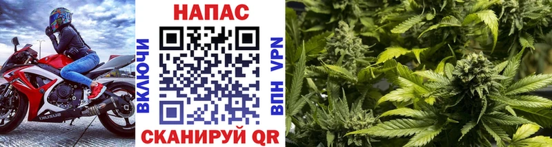 Купить закладки  Арзамас  Конопля план